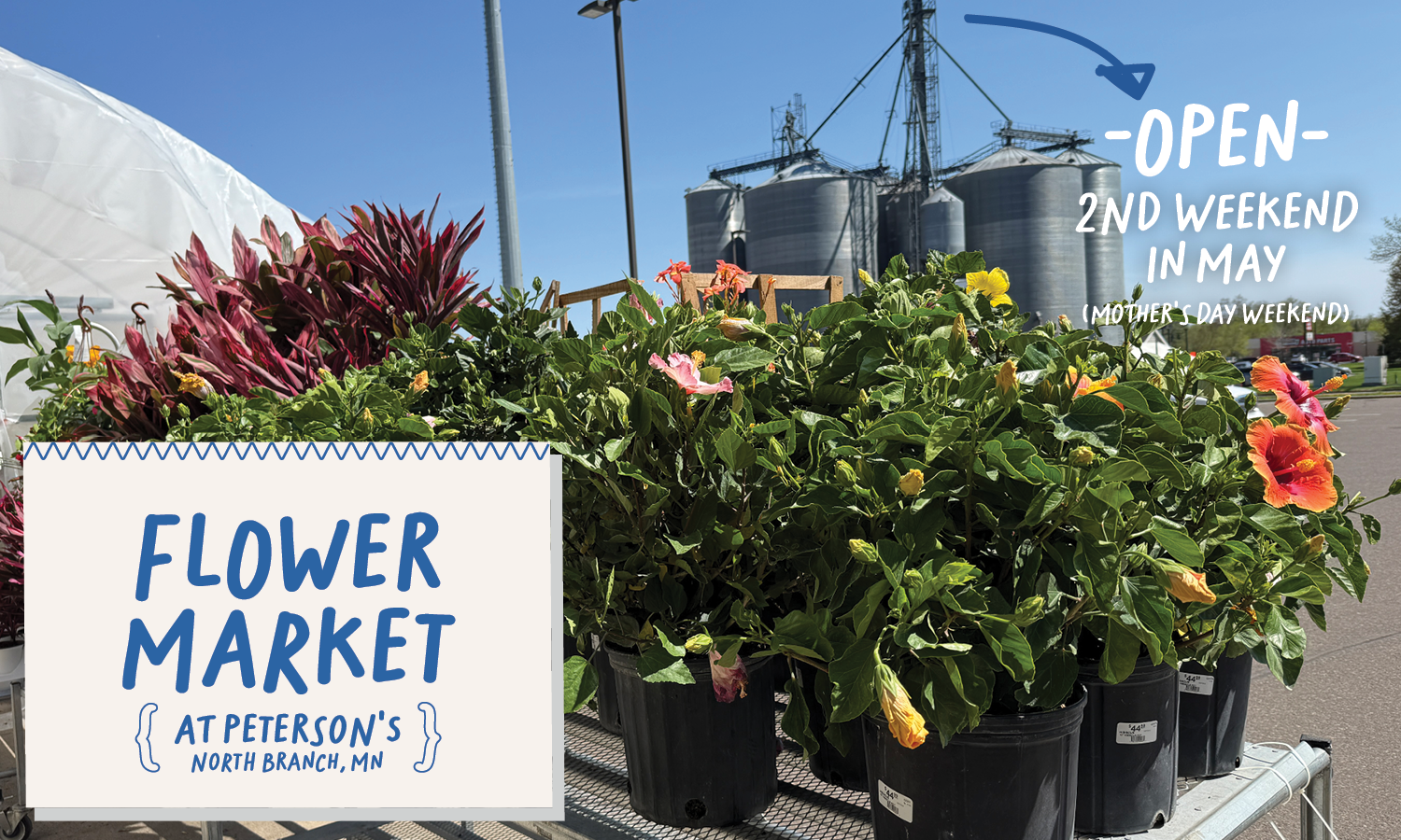 mother's day flower market
